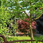 Maigloeckchen Fritzlar