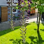 Maigloeckchen Fritzlar