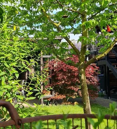 Maigloeckchen Fritzlar