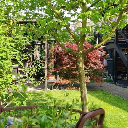 Maigloeckchen * Fritzlar