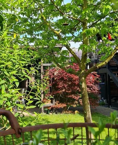 Maigloeckchen Fritzlar